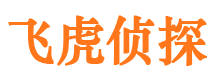 辽宁市侦探调查公司